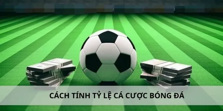 Tìm Hiểu Cá Cược Bóng Đá Fun88: Đỉnh Cao Giải Trí Thể Thao
