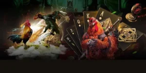 Hướng Dẫn Cách Chơi Đá Gà Sabong Tại FUN88 Hiệu Quả Nhất