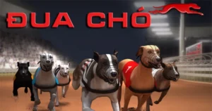 Hướng Dẫn Cách Chơi Game Nhanh Đua Chó Tại FUN88 Hiệu Quả Nhất